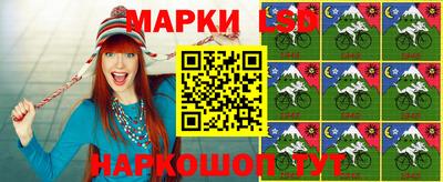 МДПВ Кингисепп