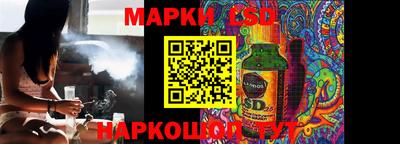 МДПВ Кингисепп