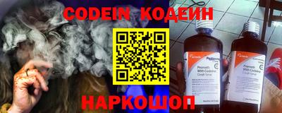 МДПВ Кингисепп