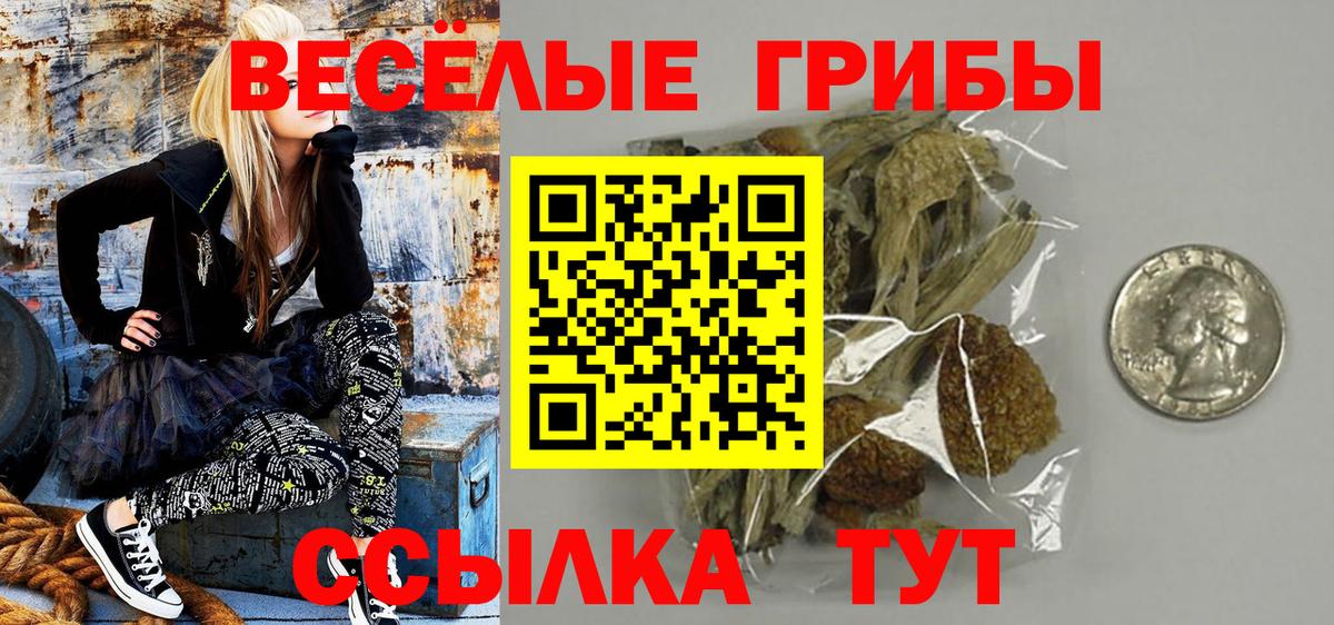 Псилоцибиновые грибы GOLDEN TEACHER Кудрово