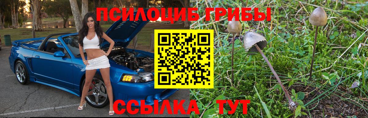 Псилоцибиновые грибы ЛСД  Псилоцибиновые грибы мицелий  Кудрово  Вход с VPN 