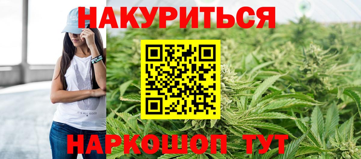 Бошки Шишки план Кудрово